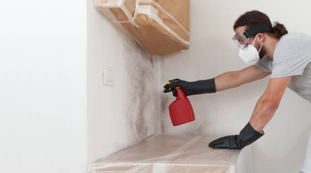 Professional Crawl Space Mold Remediation technician working in Natick, MA